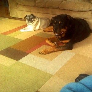 Meet your Posher, Deb